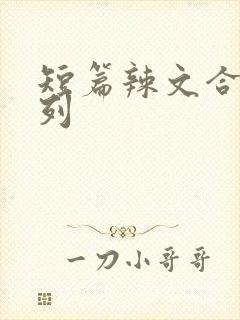 短篇辣文合集系列