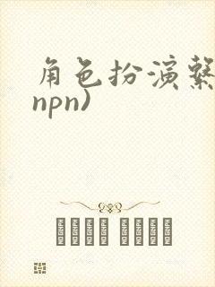 角色扮演系统(npn)