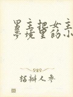 男主把女主拖进梦境里的小说