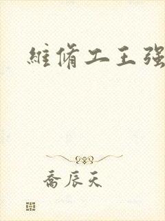 维修工王强张婷