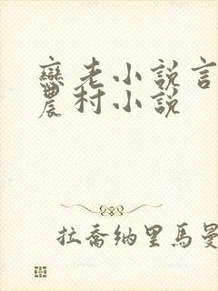 恋老小说言情网农村小说