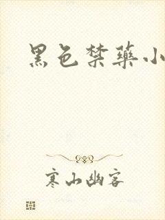 黑色禁药小说