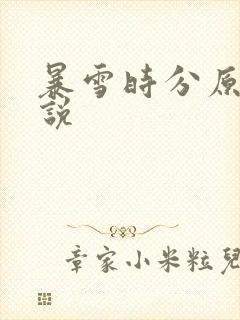暴雪时分原著小说