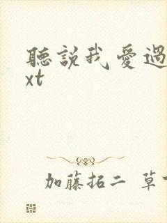 听说我爱过你txt