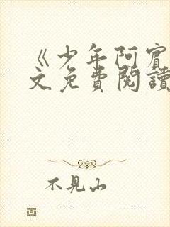 《少年阿宾》全文免费阅读