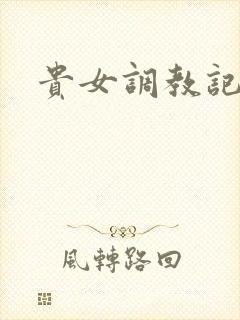 贵女调教记
