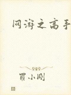 网游之高手寂寞