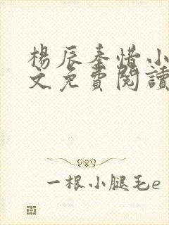 杨辰秦惜小说全文免费阅读完整版