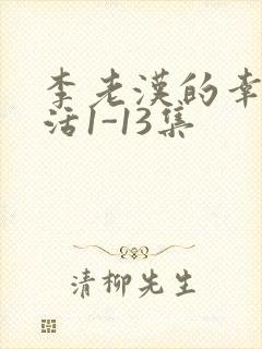 李老汉的幸福生活1-13集