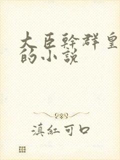 大臣干群皇太后的小说