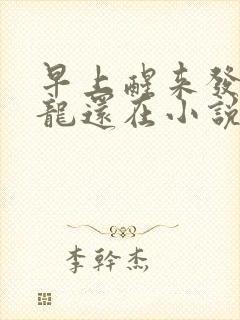 早上醒来发现巨龙还在小说