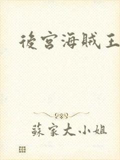 后宫海贼王