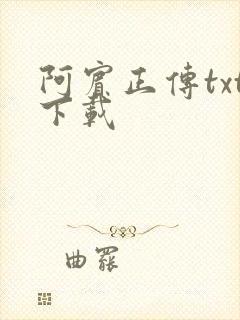 阿宾正传txt下载