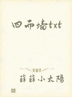 四面墙txt