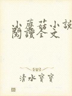 小蘑菇小说免费阅读全文