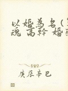以婚为名 (军魂 高干 婚恋)