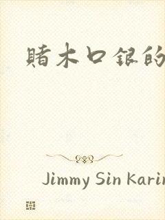 赌木口银的小说