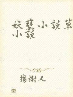 妖孽小说草莓酱小说