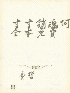 寸寸销魂何生祥全本免费