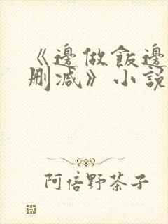 《边做饭边躁无删减》小说