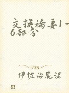 交换娇妻1一36部分