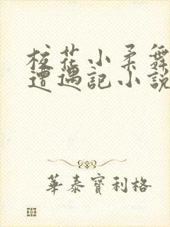 校花小柔舞蹈室遭遇记小说