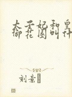 太子妃和皇帝在御花园叫什么小说