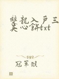 双龙入户三人行夹心饼txt