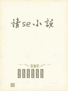 情se小说