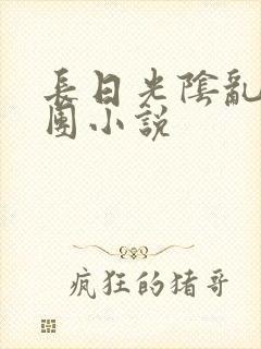 长日光阴乱作一团小说