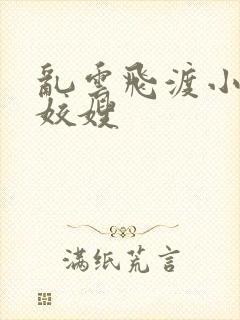 乱云飞渡小说之姣嫂