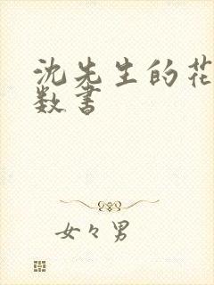 沈先生的花式调数书