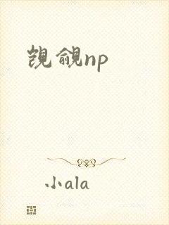 觊觎np