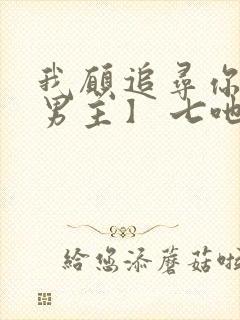 我愿追寻你【双男主】 七吔