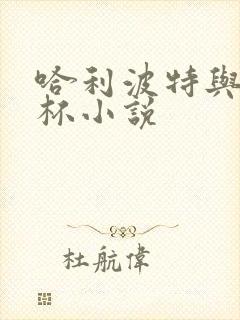 哈利波特与火焰杯小说