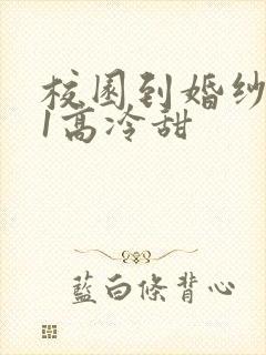 校园到婚纱1V1高冷甜