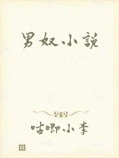 男奴小说