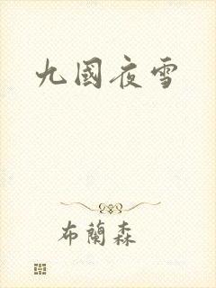 九国夜雪