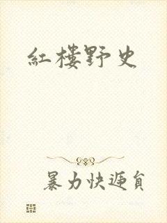 红楼野史
