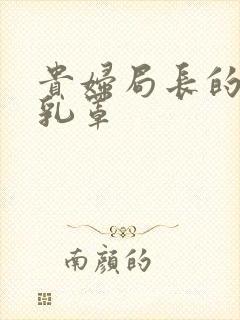 贵妇局长的蕾丝乳罩