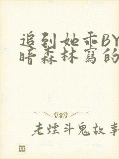 追到她乖BY黑暗森林写的小说