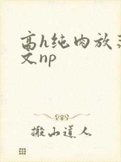 高h纯肉放荡h文np