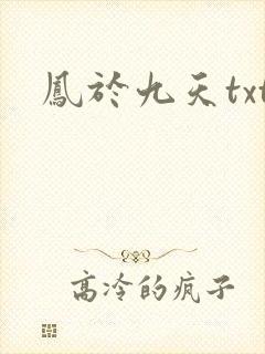 凤于九天txt