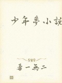 少年梦小说