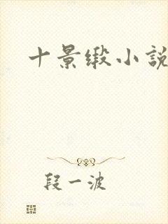 十景缎小说