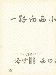 一路向西小说