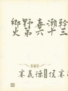 乡野春潮干柴烈火第六十三章
