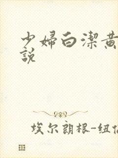 少妇白洁黄色小说