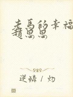 老马的幸福生活赵思思