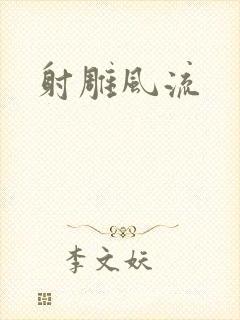 射雕风流